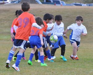 Holy Family Catholic School’s second-graders (in white) and Kirkland Holy Family School battle for the ball. RACHEL CIAMPI