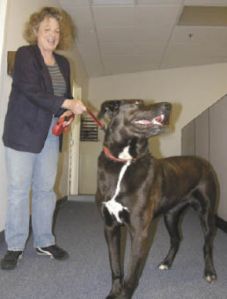 Sasha and Betsey Howe stop by to visit the Auburn Reporter office earlier this week. A story in the paper led to Sasha’s reunion with Howe