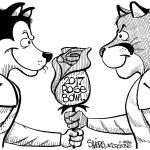 Cougs, Dawgs ready for showdown | Shiers cartoon