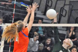 Lions’ Davenport signs with Alaska Anchorage | Volleyball