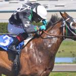 Emerald Downs announces 70-day race meet for 2017
