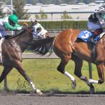 Forbidden Kee and jockey Rocco Bowen lead the field in the first race on opening day at Emerald Downs last April. The track opens for Thoroughbred racing April 8, the first of 70 live dates at the Auburn oval. RACHEL CIAMPI, Auburn Reporter
