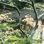 The King Conservation District promotes sustainable uses of natural resources through responsible stewardship. COURTESY PHOTO