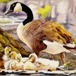 Carole Lynd&rsquo;s watercolor painting, &lsquo;Goose and Goslings&rsquo;, captured the White River Valley Museum&rsquo;s Small Works Big Presents, The Gift of Art exhibit as selected by the gallery&rsquo;s visitors. Lynd won the $400 prize. COURTESY IMAGE, WRVM