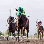 The Seattle Stakes, won by Invested Prospect in 2016, begins stakes action on May 7 at Emerald Downs. COURTESY PHOTO, EmDowns