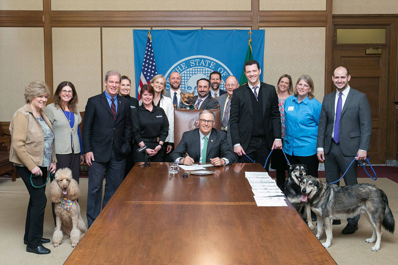 Animal care and protection advocates, lawmakers and dogs gathered as Gov. Inslee signed Sen. Joe Fain&rsquo;s humane treatment for dogs legislation. COURTESY PHOTO