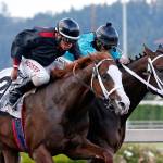Barkley, left, nails archrival Mach One Rules in the final jump for a head victory in last year&rsquo;s $50,000 Seattle Slew Stakes. The two renew their rivalry in an allowance race Saturday at Emerald Downs. COURTESY PHOTO