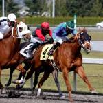 Keller&rsquo;s Gold holds off Moneydontspenitself to score a giant upset Sunday in the $20,500 allowance feature for 3-year-olds at Emerald Downs. COURTESY PHOTO