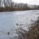 The second – and final – season of work is starting along the White River at the Countyline Levee Setback Project, a major undertaking by the King County Flood Control District that will reduce flooding by restoring the river&rsquo;s access to its historic floodplain. RACHEL CIAMPI, Auburn Reporter