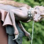 Imaginary: Jolene Loraine has created many characters from her science fictionfantasy book series, &lsquo;Night Hawk,&rsquo; one of which is a larkrae, an animal trained for war. MARK KLAAS, Auburn Reporter