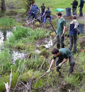 Community goes to work on Earth Day | PHOTOS
