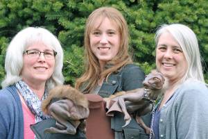 Ready to turn story to film