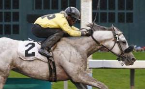 Blue Law captures feature for red-hot Parker | Emerald Downs