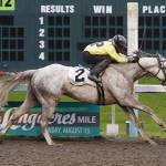 Rocco Bowen rides Blue Law to victory in the $11,300 Muckleshoot Casino Purse for 3-year-olds and up at Emerald Downs on Sunday. COURTESY PHOTO, Emerald Downs