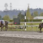 Invested Prospect dominated the field, romping to a five-length victory in Sunday&rsquo;s $21,500 allowance feature for older fillies and mares at Emerald Downs. COURTESY PHOTO