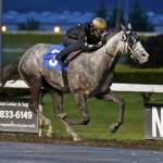 Rocco Bowen drives Capital Expense to victory in Friday&rsquo;s feature at Emerald Downs. COURTESY PHOTO