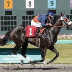 Javier Matias guides Say Neigh to victory in the John Parker Purse for 3-year-olds and up Emerald Downs on Saturday. COURTESY PHOTO, Emerald Downs