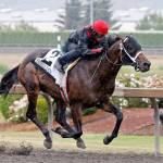 So Lucky and Rocco Bowen, racing to victory in last year&rsquo;s WTBOA Lads Stakes, are poised and ready for Sunday&rsquo;s $50,000 Auburn Stakes. COURTESY PHOTO, Emerald Downs