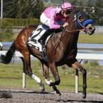 Unbeaten Alliford Bay heads $50,000 Kent Stakes | Emerald Downs