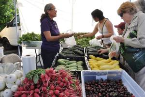Auburn Farmers Market opens 9th season on Sunday