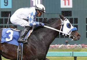 Party Pooper prevails in a Saturday toughie | Emerald Downs