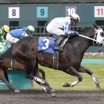 Leonel Camacho-Flores rides Party Pooper to victory in the $15,600 John Parker Racing Purse for 3-year-olds and up at Emerald Downs. The 5-year-old Thoroughbred has won three straight races dating to last year. COURTESY PHOTO, Emerald Downs