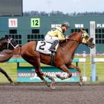 Sharkzilla, upset winner of the Auburn Stakes last month, takes on the field in Sunday&rsquo;s $50,000 Coca-Cola Stakes st 6½ furlongs. COURTESY PHOTO, Emerald Downs
