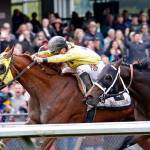 Sharkzilla (yellow) prevails in the Auburn Stakes earlier in the meet. COURTESY PHOTO, Emerald Downs