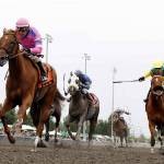 Profound Moment prevails in Washington State Legislators | Emerald Downs
