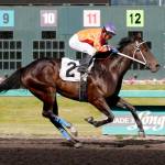 Viewingthegold, with Leonel Camacho-Flores up, storms to victory in the $15,200 Muckleshoot Casino Purse for 3-year-olds and up at Emerald Downs on Sunday. COURTESY PHOTO, Emerald Downs