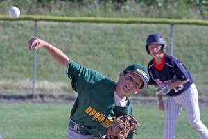 Auburn denied in first attempt at district title | Little League All-Stars