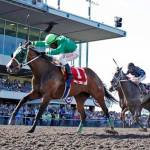 Risque’s Legacy stretches out in Irish Day Stakes | Emerald Downs
