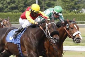 Exit Sixty Slew bags third straight in thriller | Emerald Downs