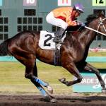 Viewingthegold captures $15,200 Muckleshoot Casino Purse | Emerald Downs