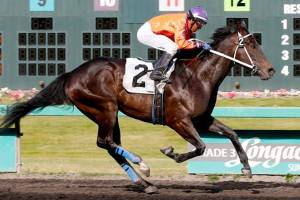 Viewingthegold captures $15,200 Muckleshoot Casino Purse | Emerald Downs