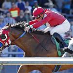 Julien Couton drives Blame It On Royce to the win in the $11,300 John Parker Racing Purse at Emerald Downs. COURTESY PHOTO