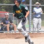 Auburn Little League Majors roll to victory in state all-star tournament