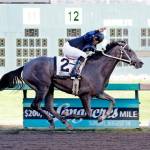 Blazinbeauty, winless this meet as he prepares for Sunday&rsquo;s Washington Oaks, posted a six-length victory the Gottstein Futurity last year. COURTESY PHOTO, Emerald Downs