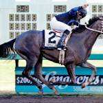 $75,000 Washington Oaks goes to the post Sunday | Emerald Downs