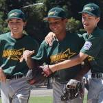Auburn falls shy in pursuit of state Little League championship