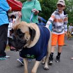 Charlotte Kettner brought Fabio to the Barkfest & Rover Romp last year. RACHEL CIAMPI, Auburn Reporter