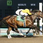 Rocco Bowen drives Gazing to victory Saturday in the $18,500 Muckleshoot Casino Purse for 3-year-old fillies at Emerald Downs. COURTESY PHOTO