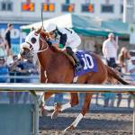 With Juan Gutierrez in the reins, Monydontspenitself romped to a 3¾-length victory in the $18,500 Muckleshoot Casino Purse for 3-year-olds Sunday at Emerald Downs. COURTESY PHOTO