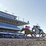 Aqua Frio, with Kevin Orozco up, posted a head victory in Sunday&rsquo;s $50,000 Seattle Slew Stakes for 3-year-old colts and geldings. COURTESY PHOTO, Emerald Downs