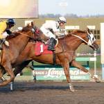 Blackford, with Julien Couton up, roll to an upset win in the $11,200 Muckleshoot Casino Purse on Monday evening at Emerald Downs. COURTESY PHOTO