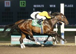 Gazing edges Daddyalwayssays in feature | Emerald Downs