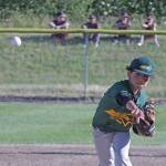 Auburn comes up short in District 10 title pursuit | Little League all-stars