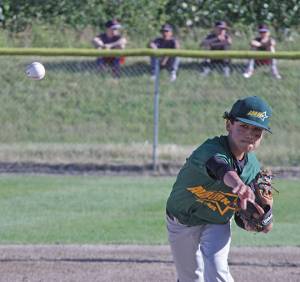 Auburn comes up short in District 10 title pursuit | Little League all-stars