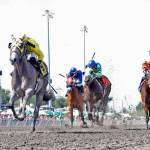 He&rsquo;s Not Grey debuted with a big upset in the Emerald Express. COURTESY PHOTO, Emerald Downs