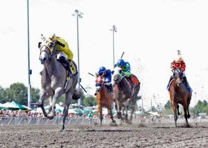 He&rsquo;s Not Grey debuted with a big upset in the Emerald Express. COURTESY PHOTO, Emerald Downs